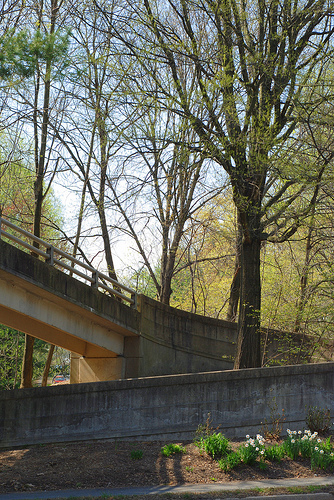 4505275953_df13848b82